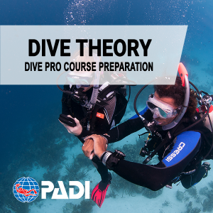 Dive Theory Pro Course Preparation Link