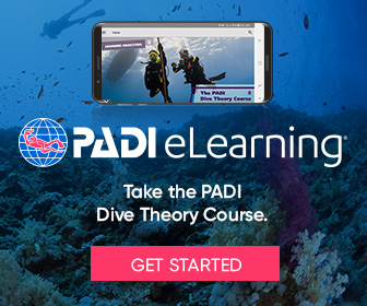 Dive Theory Online